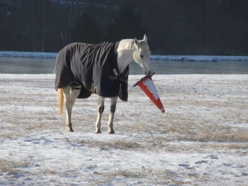 DSCF2816Under Construction